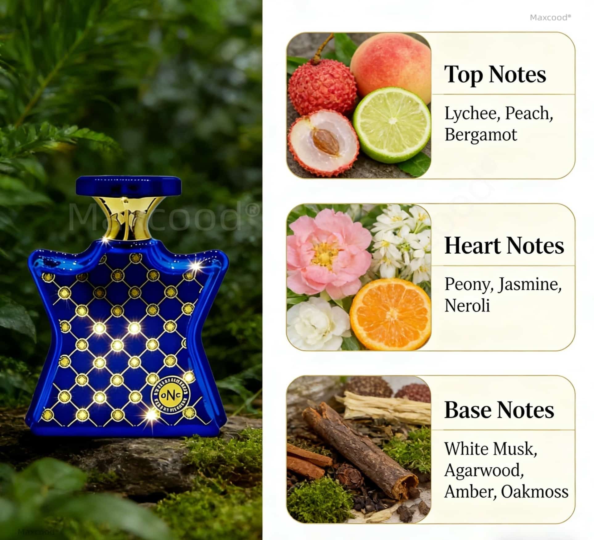 عطر حمضيات وزهور يدوم طويلاً،  - مراجعة Perfume Fragrance For Women وسعره