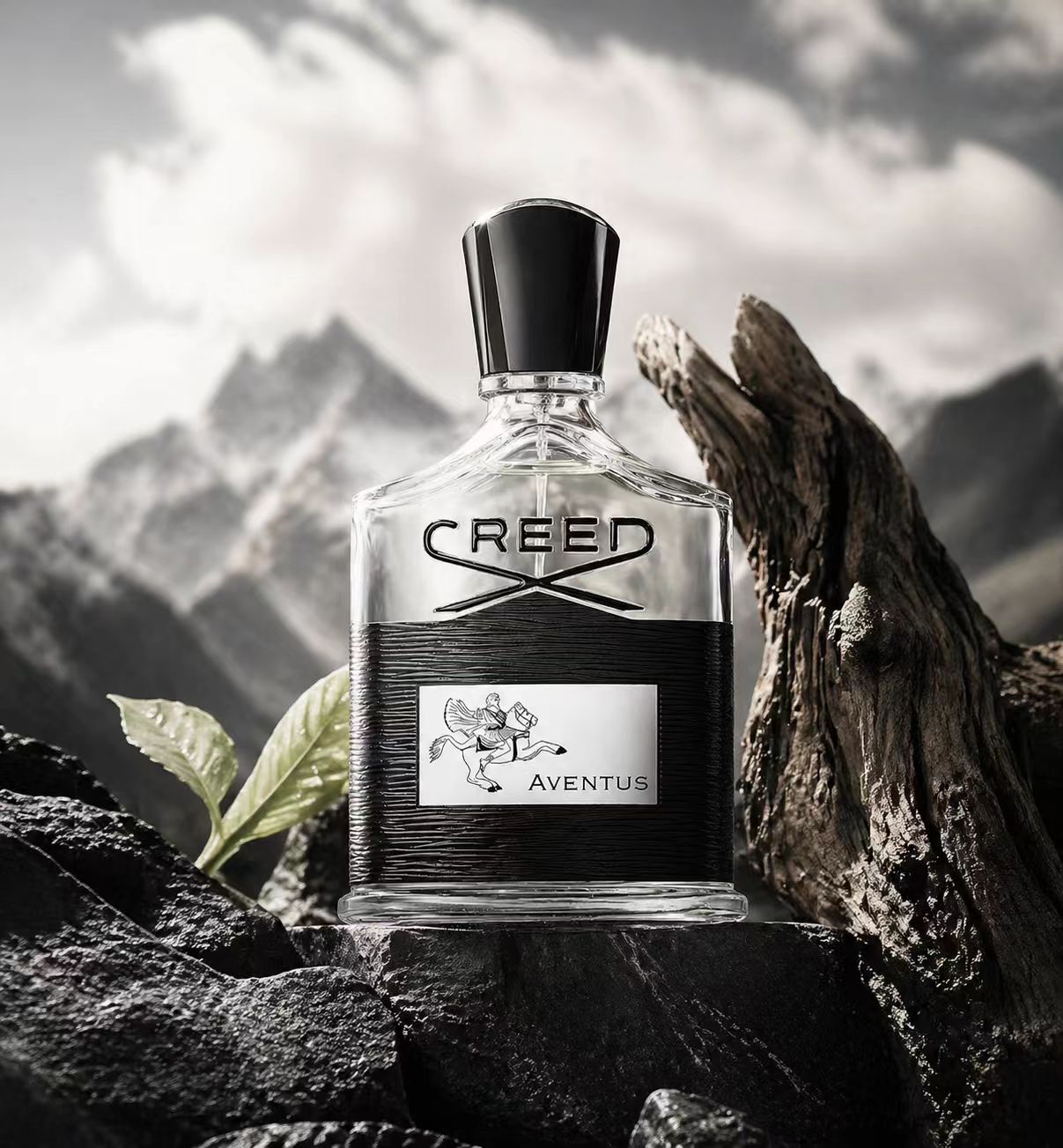 كريد أفنتوس: عطر رجالي جريء ود - مراجعة Creed Aventus Dupe وسعره