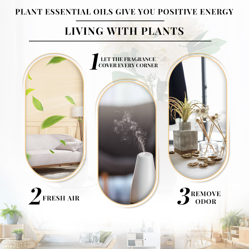 زيت عطري برائحة الياسمين من إي - مراجعة Perfume Fragrance Enhancer وسعره